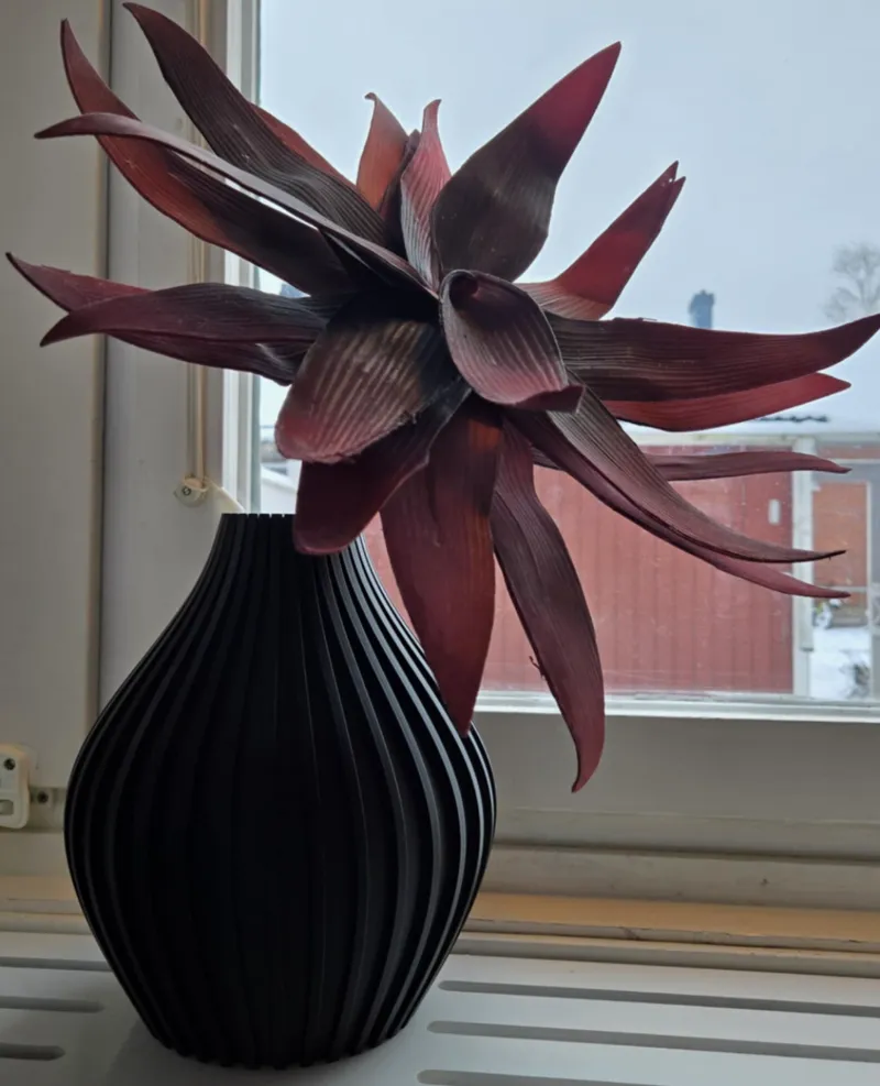 Ribbed Elegance