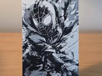 0.08mm layer, 1 walls, 100% infill