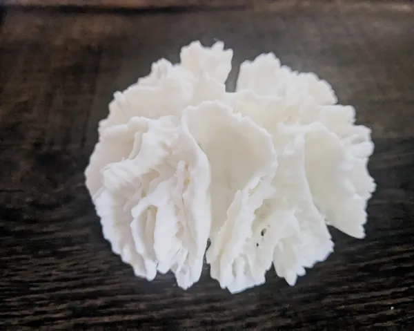 https://makerworld.bblmw.com/makerworld/model/USeb3d9cdd20559c/design/2024-05-02_412a7a56949bd.jpg