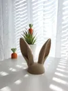 Wide, 12cm - 0.2mm layer, 2 walls, 7% infill