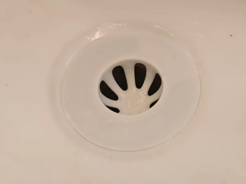 Sink plug strainer