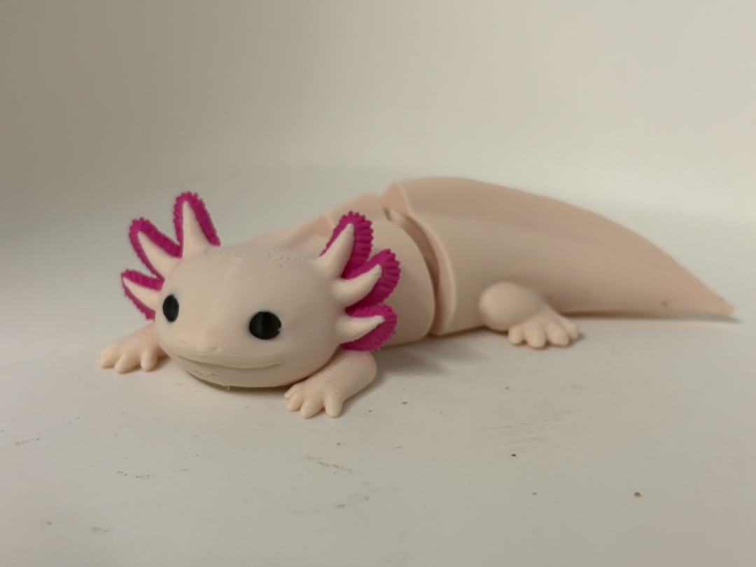 Articulated Axolotl  