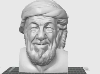 Arab Old Man Face
