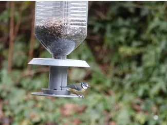 bird feeder for 48mm and 38mm bottles