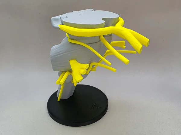 https://makerworld.bblmw.com/makerworld/model/USeb4bad87f4b321/design/2025-08-03_48c915356c8868.png