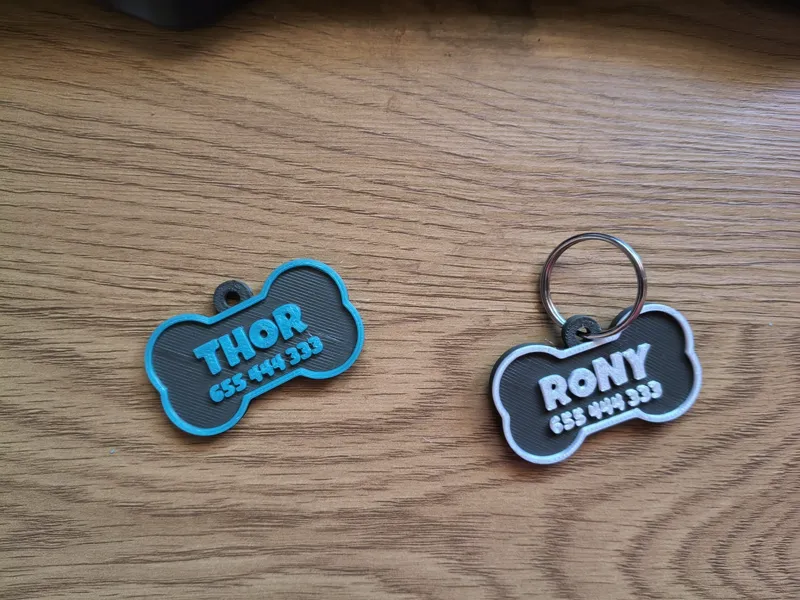Llavero etiqueta Mascota personalizable