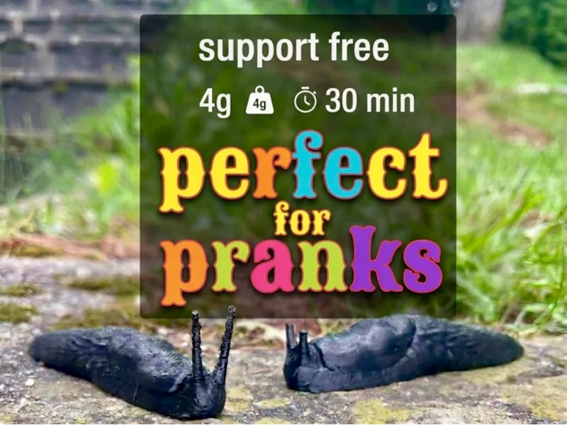 Squishy Slug - Realistic tpu/pla PRANK