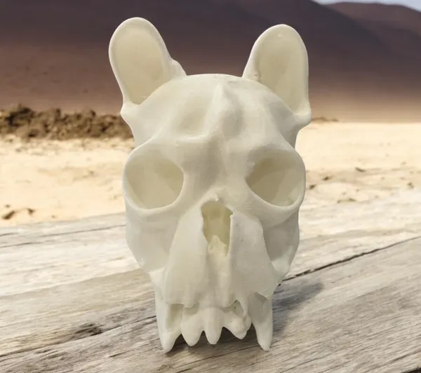 https://makerworld.bblmw.com/makerworld/model/USeb55131c61abf0/design/2025-01-15_476e2e7b3bc33.jpg