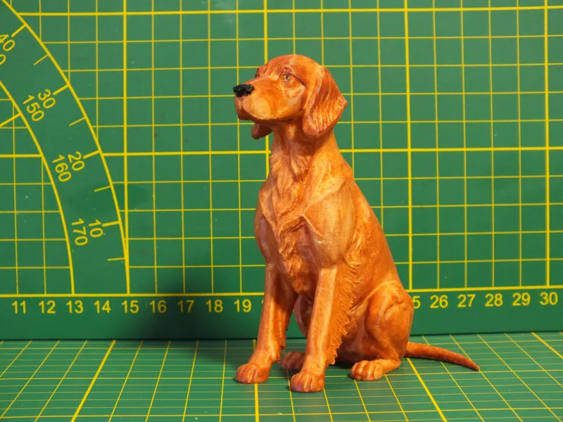 Irish Setter Red Setter Sotar Rua Sitting