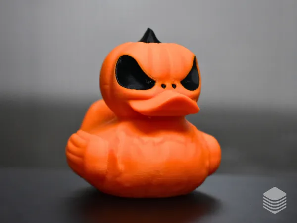 https://makerworld.bblmw.com/makerworld/model/USeb5b2fbaaed0e7/design/2025-01-17_05d0769803f18.png