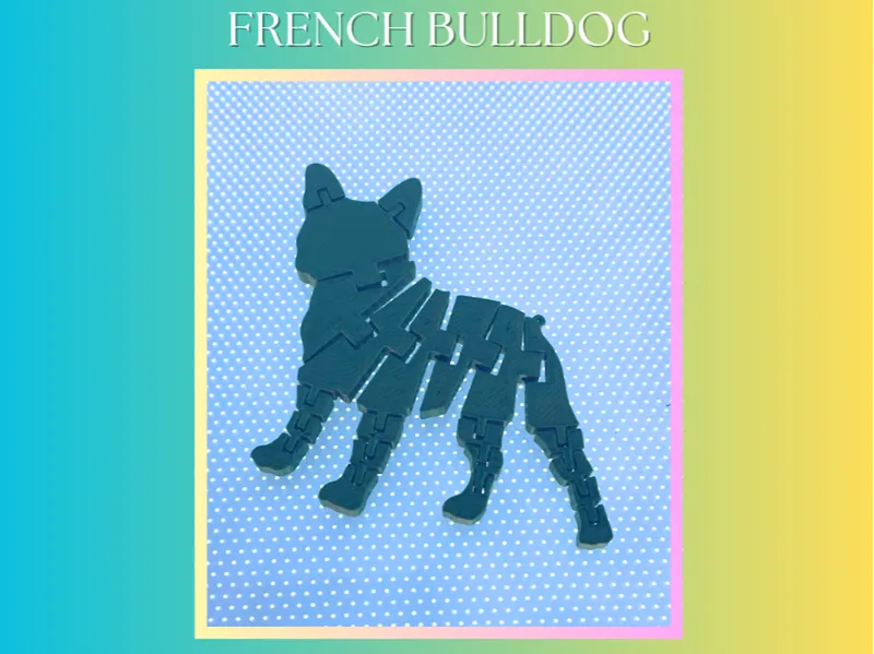 FRENCH BULLDOG - FLEXI