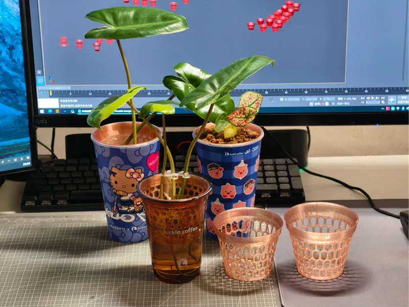 咖啡杯水培植物定植篮，完美适配瑞幸大杯/PP杯