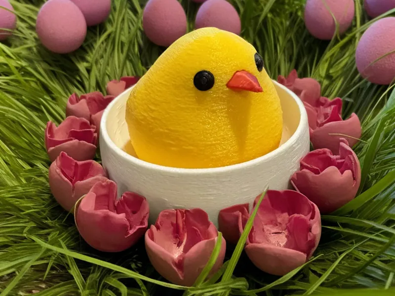 Chick in Egg