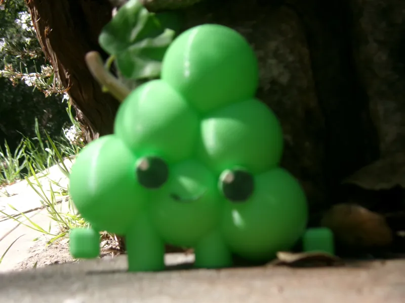 Boomerang fu Grapes