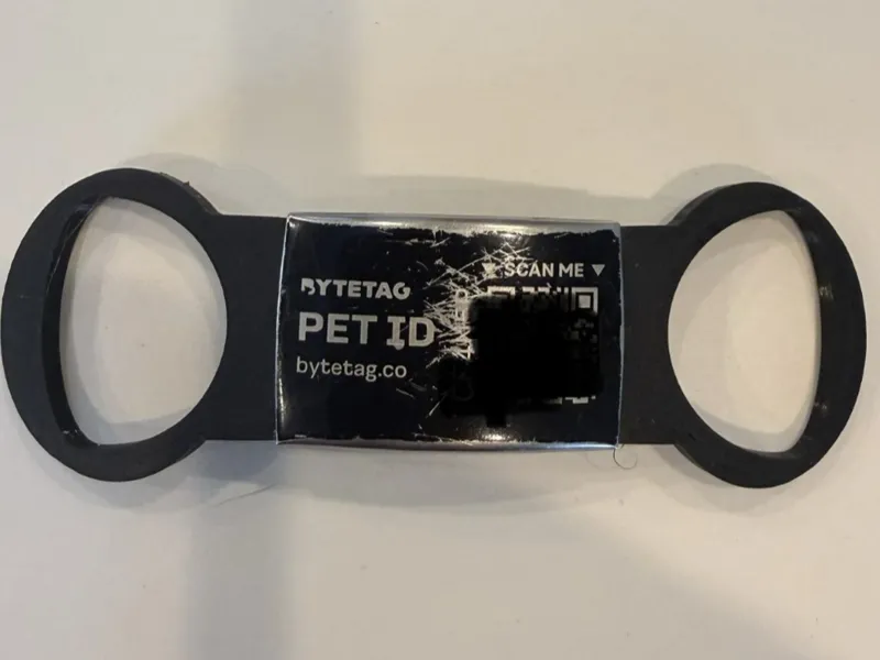 Bytetag holder for dog collar