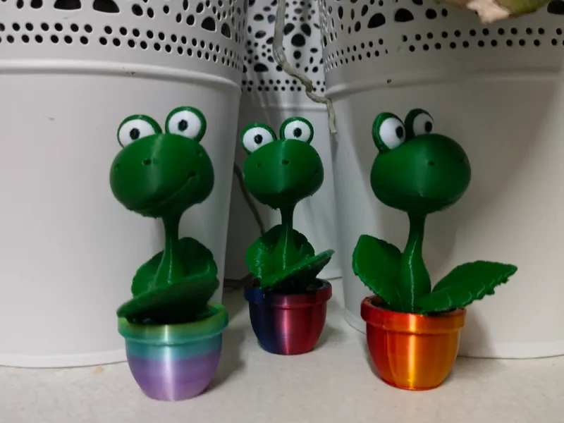 Flower in pot
