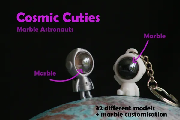 https://makerworld.bblmw.com/makerworld/model/USeb7a924a79565/design/2024-02-21_7zl627bx2fgc.png