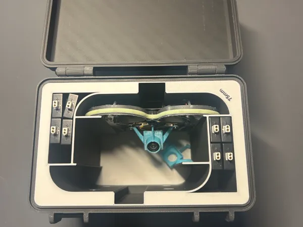 https://makerworld.bblmw.com/makerworld/model/USeb7b951e54a1c2/design/8006cda1c2090aee.jpg