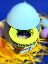 Large Cryptex Egg - Cover and EASTER as Combination(2Plates)