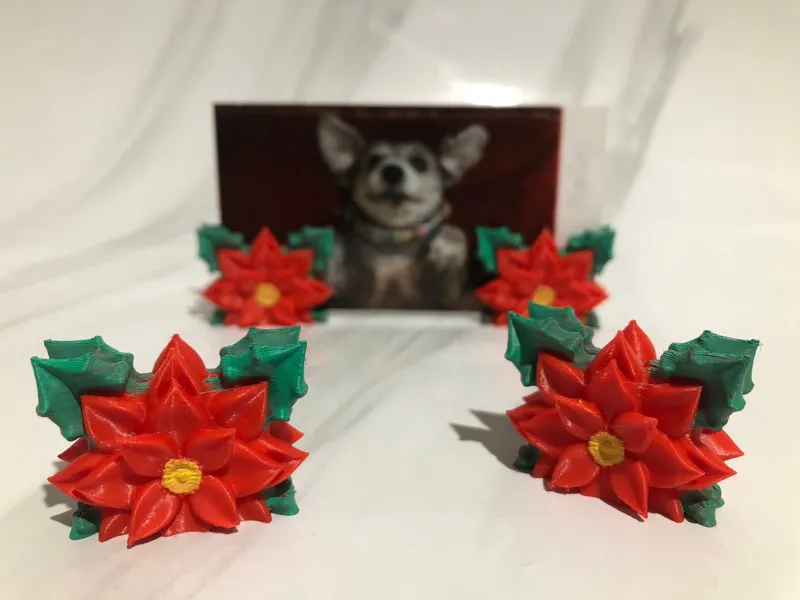 Poinsettia photo support (Noche buena)