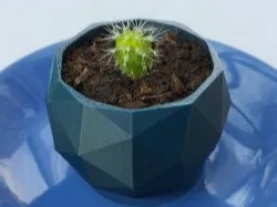 Modern Geometric Succulent Plant Pot