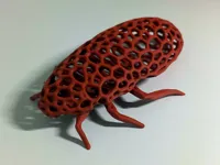 Cafard voronoi — photo 2