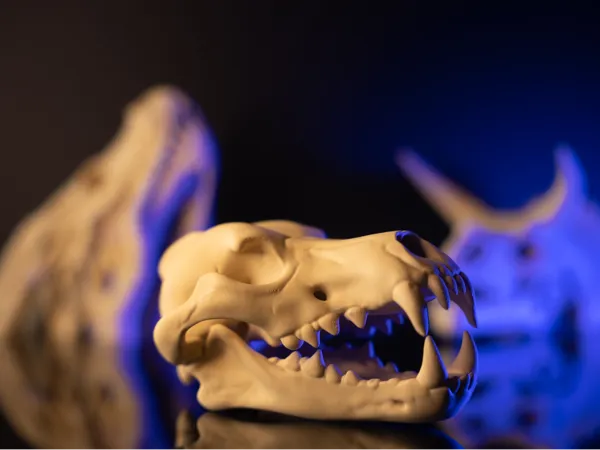 https://makerworld.bblmw.com/makerworld/model/USeb8d50dc9817a/design/2025-04-15_ef9495c2a23e68.jpg