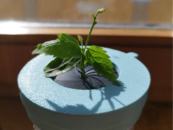 https://makerworld.bblmw.com/makerworld/model/USeb92563af33346/design/2025-06-01_d46a7fff99f518.jpg