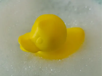 Bath duck