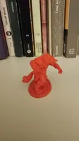 Figurine guerrier loup — photo 3