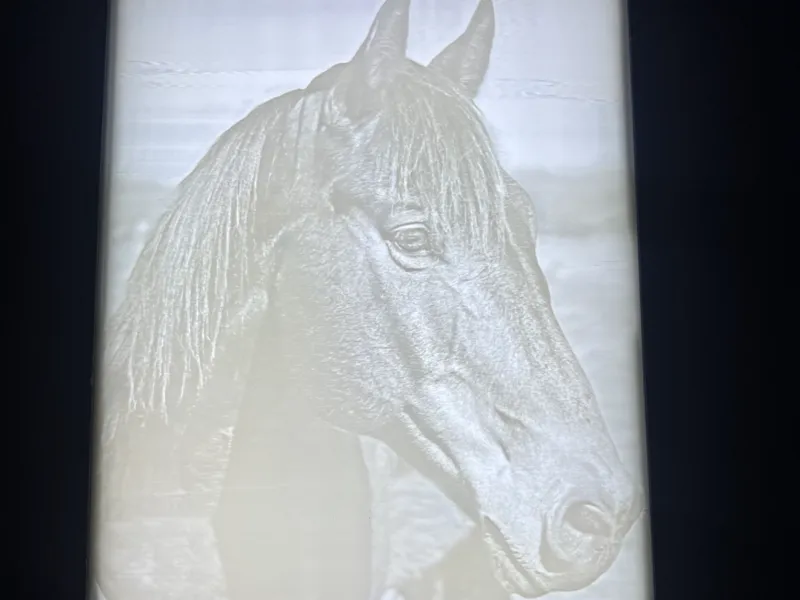 Horse Lithopane