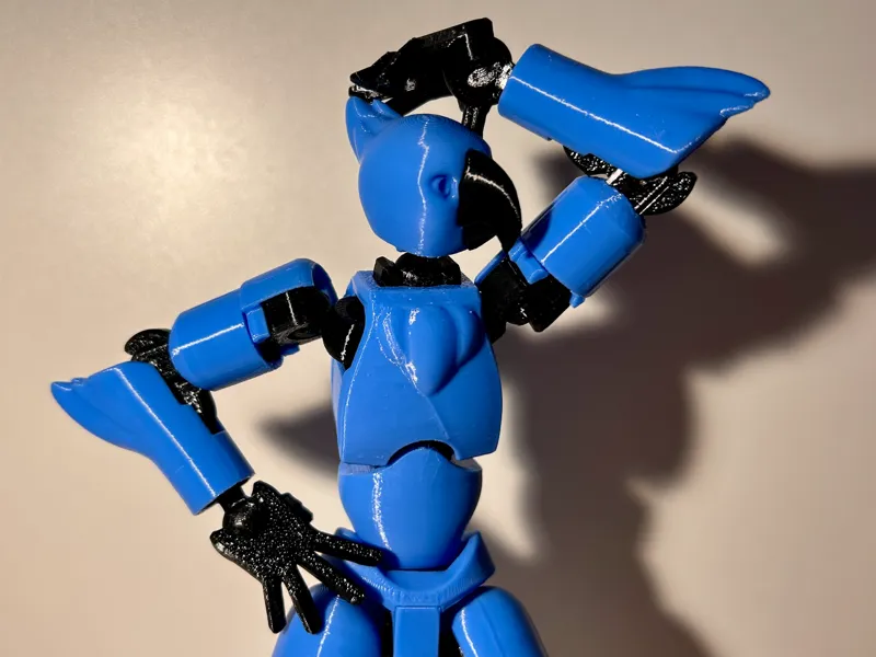 Dummy 13 Bird Arms and Chest