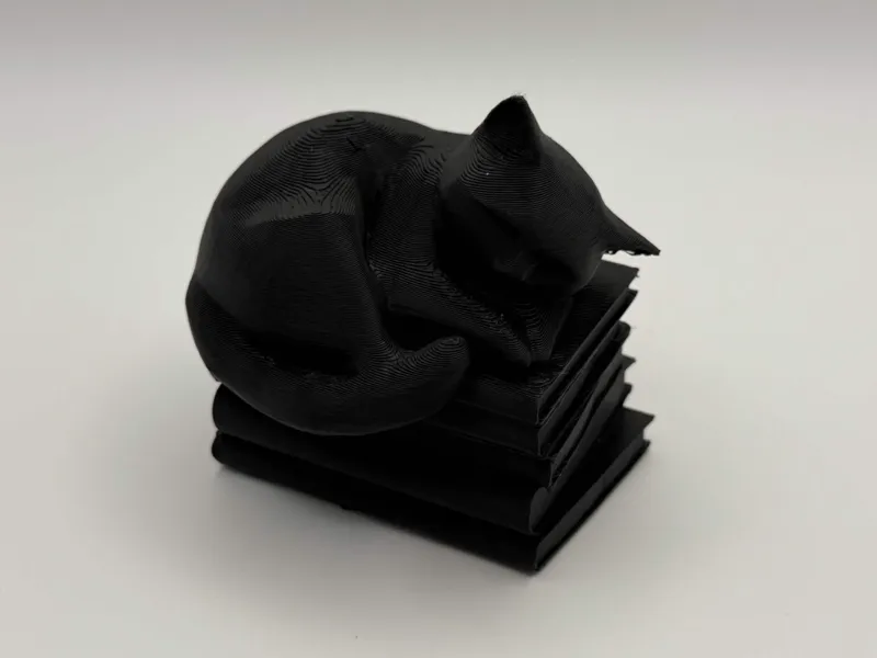 Cat Sleeping on Books