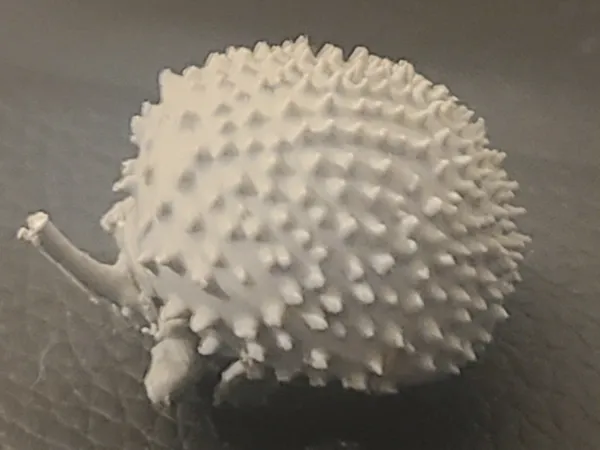 https://makerworld.bblmw.com/makerworld/model/USeba86831d5bf77/design/2025-09-22_86efb3f9dcb188.jpg