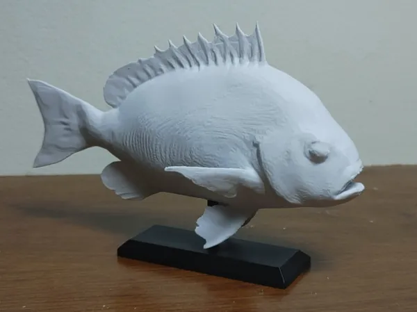 https://makerworld.bblmw.com/makerworld/model/USebac723e46fc89/design/2025-01-04_5516ea06f8164.jpg