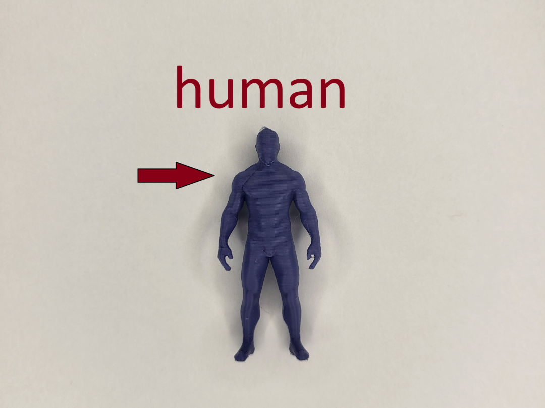 Human Anatomy Model | 3D Printable Figurine