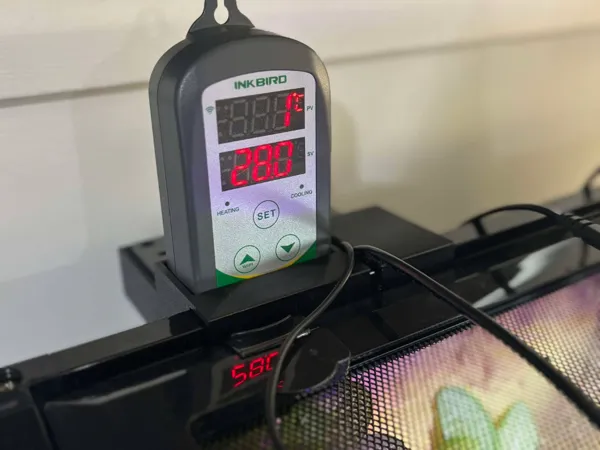 https://makerworld.bblmw.com/makerworld/model/USebaeba31d5e8cd/design/2025-02-20_3db6be1385f06.jpg