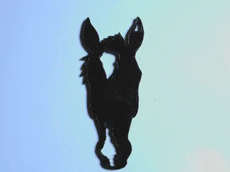 Horse keychain