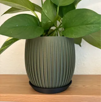 Parametric Vertical Splined Planter Pot