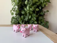 Pig
