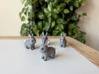 Bunny