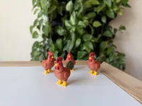 Rooster