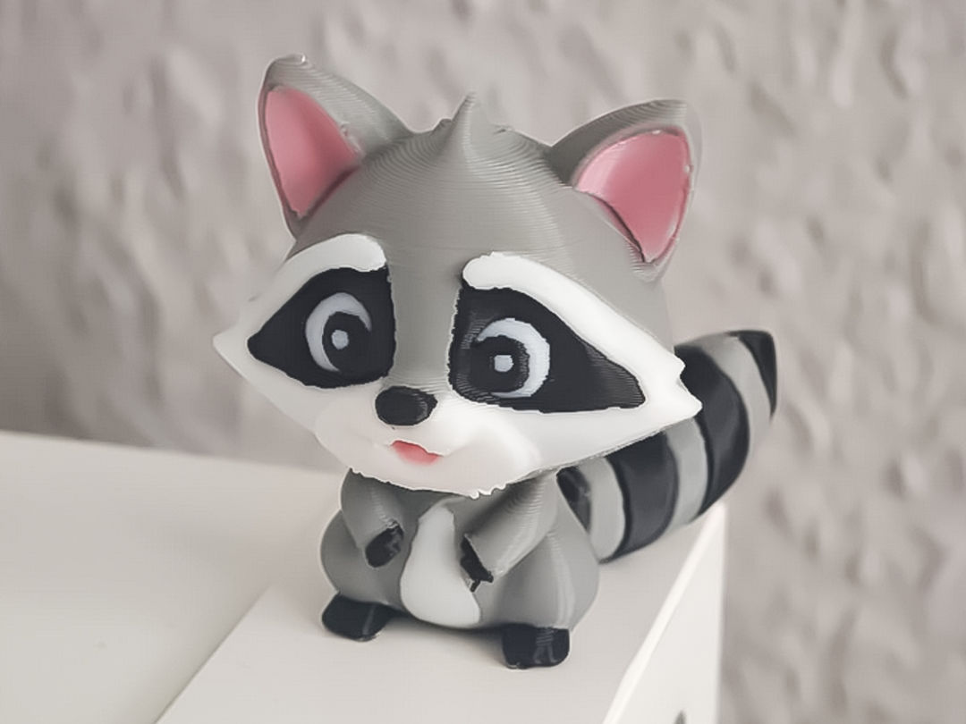 Raccoon PrintMon MakerLab