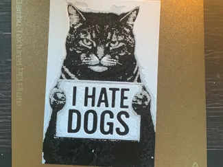 Cat hueforge