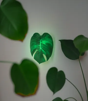 Accesorio de iluminación decorativa: Monstera Lamp - Detailed Wall Lamp — vista de referencia 5