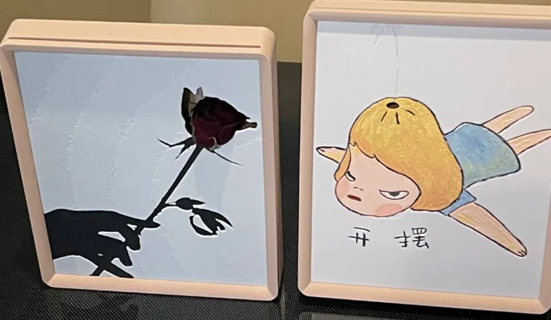 Vase frame with sink for replaceable artwork花瓶画框