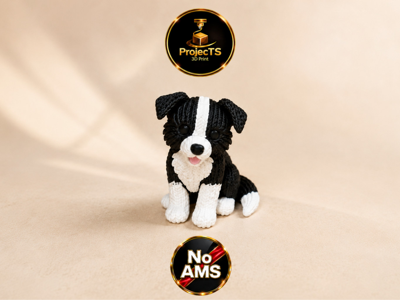 Strick-Border Collie