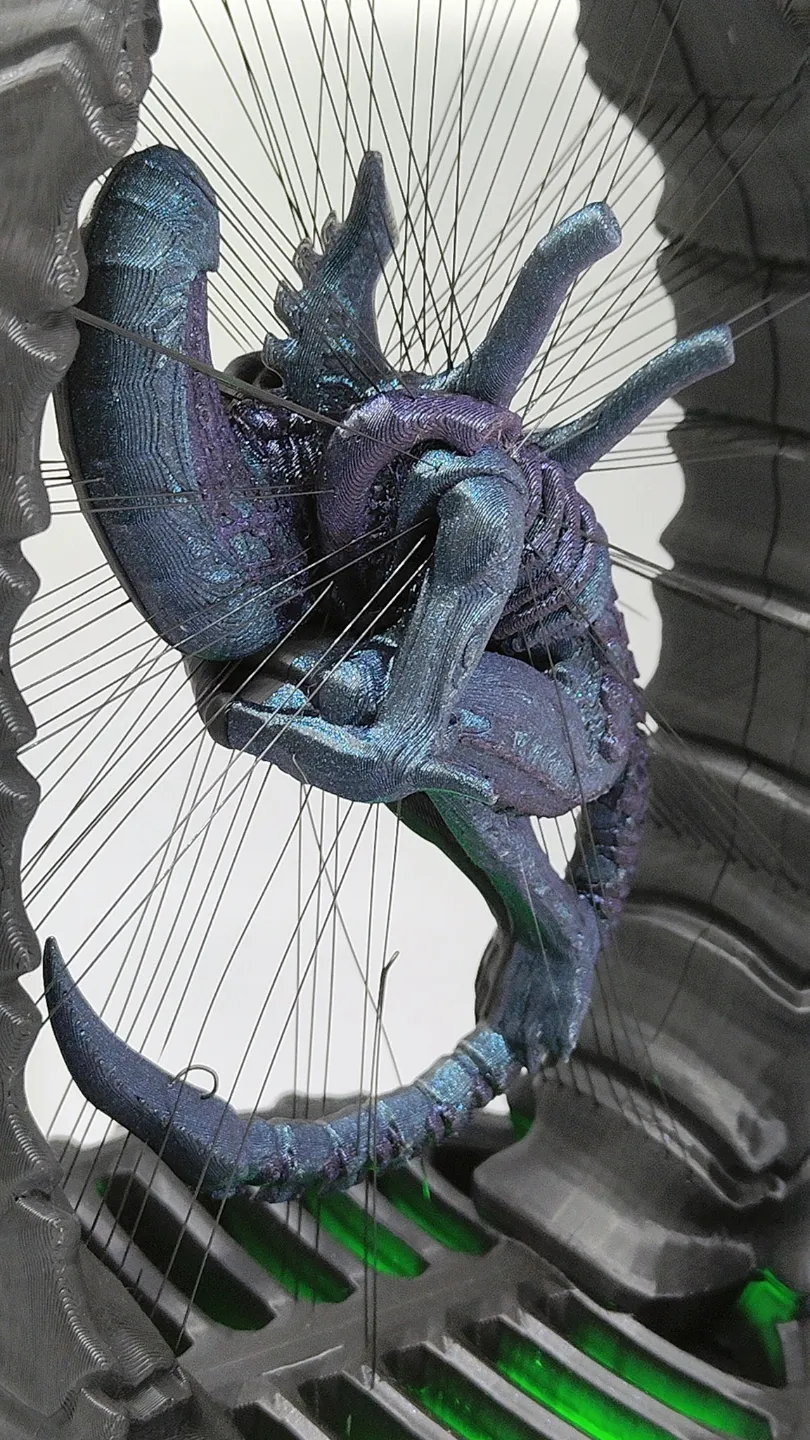 Suspended Alien Xenomorph view 4