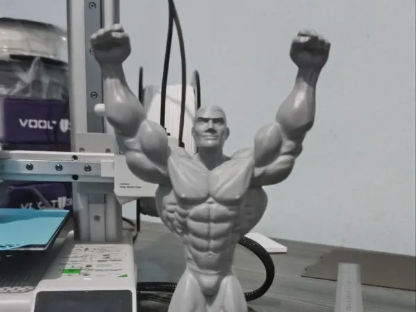 https://makerworld.bblmw.com/makerworld/model/USebcf057e5d0950/design/df4df37cc9ac3c2f.jpg