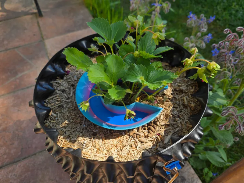 Airpot watering slower (dripper) - parametric